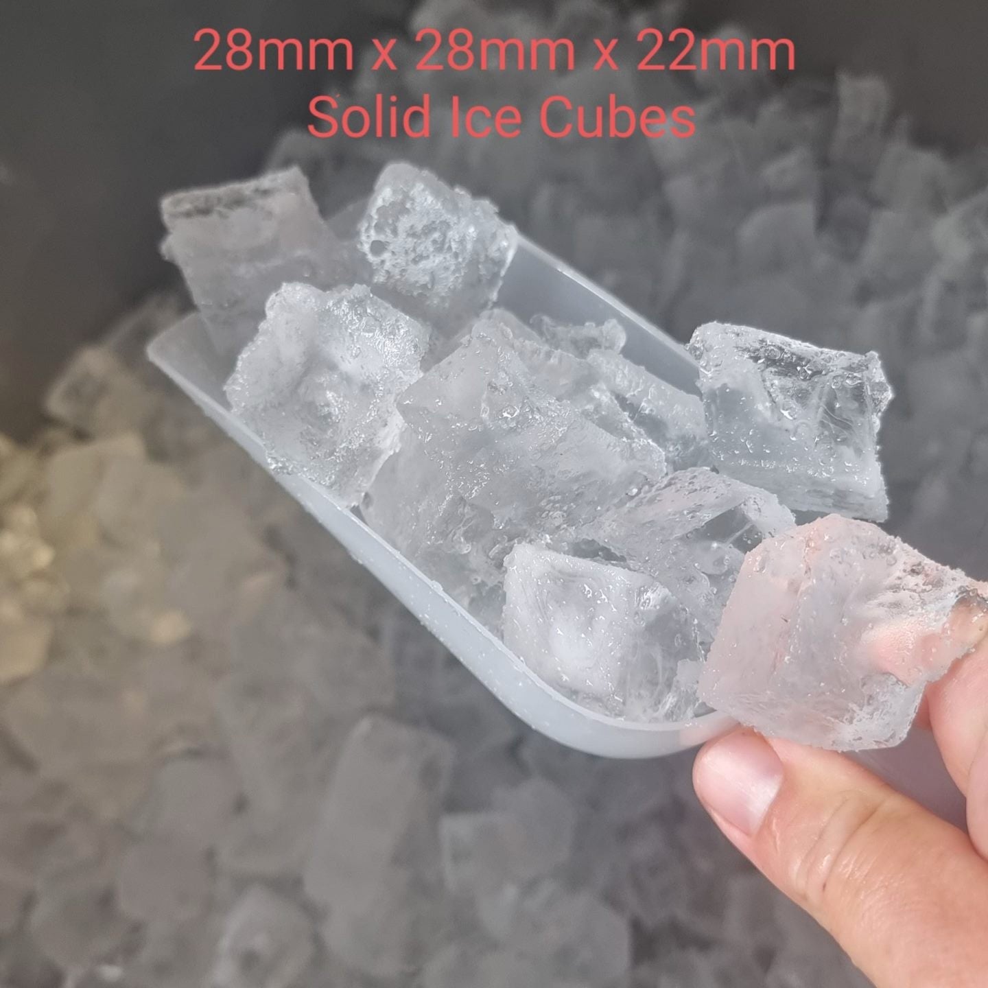 Shot of ice cubes the ICEPRO 55/kg/24hr Cube Ice Maker Machine produces.